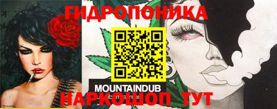 стафф Краснодар
