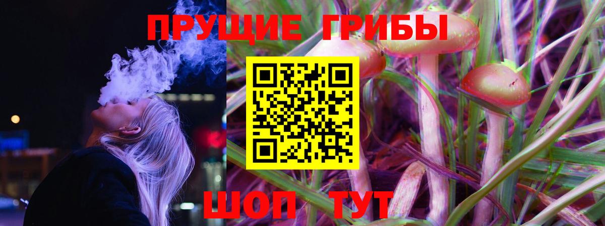 Канск  дарнет шоп  Вход с VPN  Галлюциногенные грибы Psilocybine cubensis 